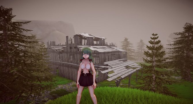 Hentai Nazi