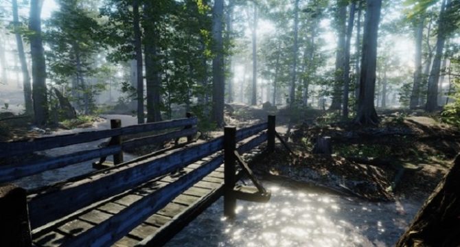 The House in The Forest