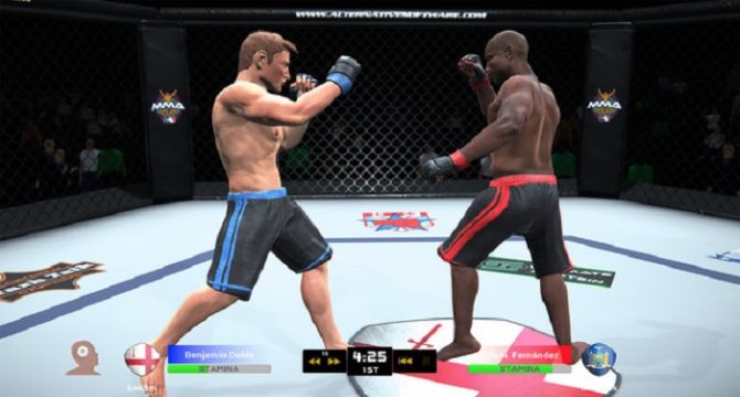 MMA Team Manager