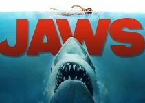 Jaws Unleashed Free Download Jaws Unleashed Free Download
