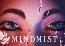 MINDMIST Free Download MINDMIST Free Download