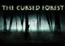 The Cursed Forest Free Download (v1.0.6) The Cursed Forest Free Download (v1.0.6)