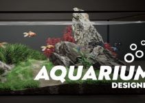 Aquarium Designer Free Download Aquarium Designer Free Download