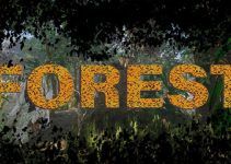 Forest Free Download Forest Free Download