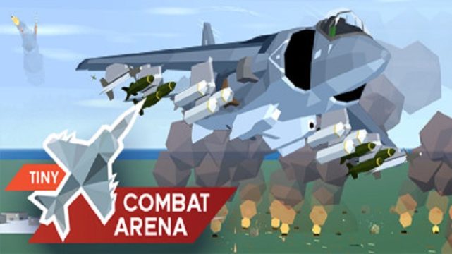 Tiny Combat Arena Free Download