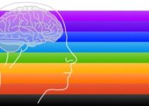 Dimensions of Mind Free Download Dimensions of Mind Free Download