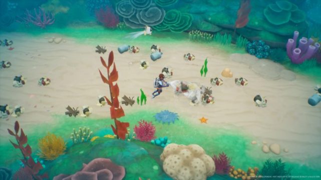 Coral Island download