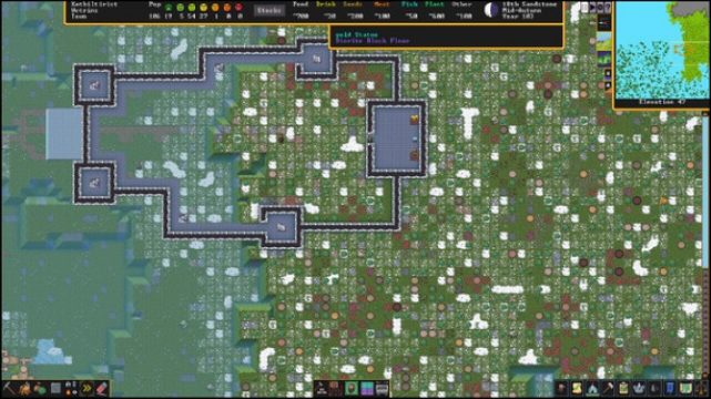 Dwarf Fortress pc