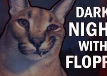 DARK NIGHT WITH FLOPPA Free Download DARK NIGHT WITH FLOPPA Free Download