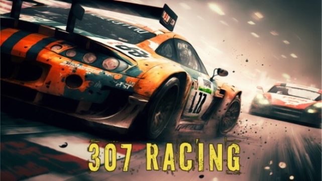 307 Racing Free Download