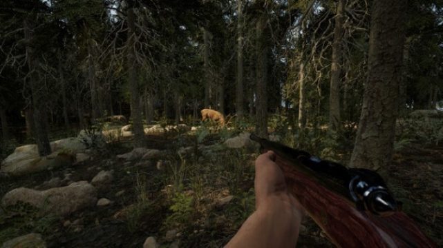 Evergreen - Mountain Life Simulator crack