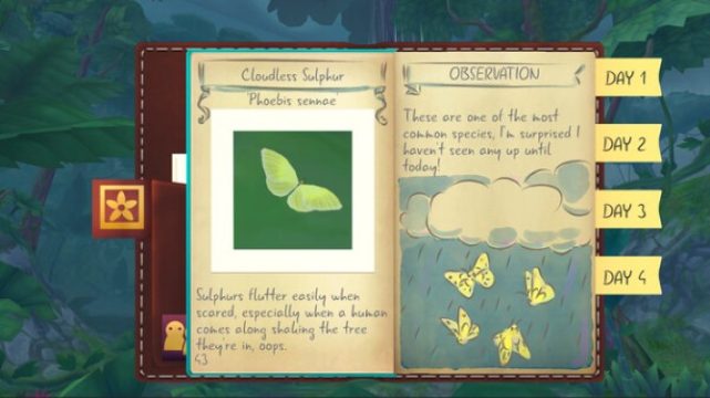 Flutter Away pc