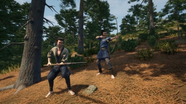 Sengoku Dynasty crack