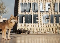 WOLF IN THE CITY Free Download WOLF IN THE CITY Free Download