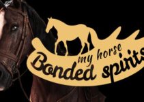 My Horse: Bonded Spirits Free Download My Horse: Bonded Spirits Free Download