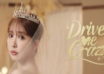 Drive Me Crazy Free Download Drive Me Crazy Free Download
