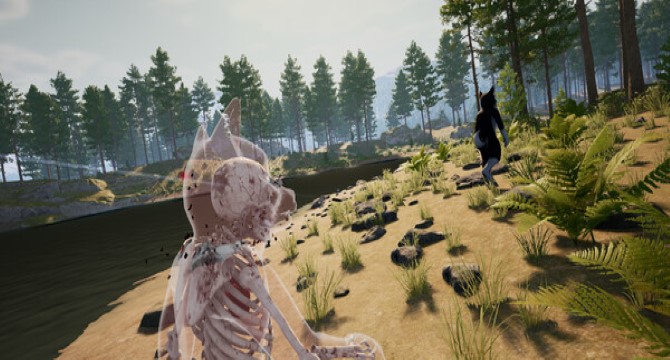 Furry Sniper + Aim Trainer download