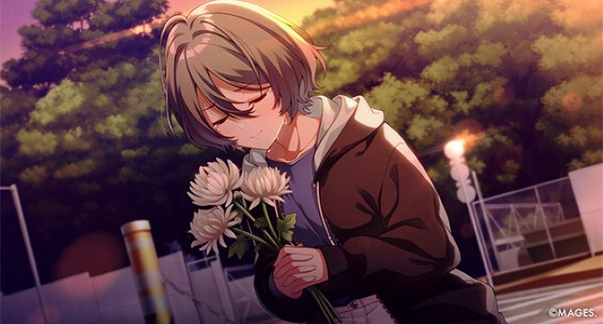 SINce Memories: Off The Starry Sky pc