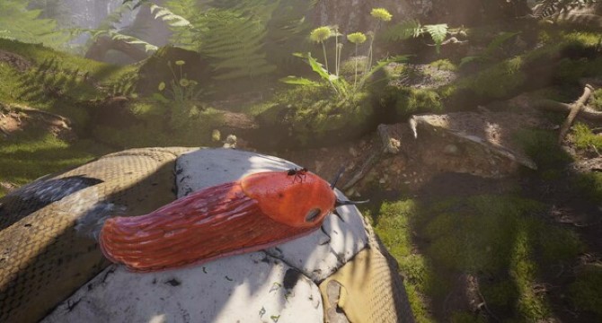 Empire of the Ants download