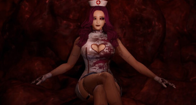 Ruined Nurse pc