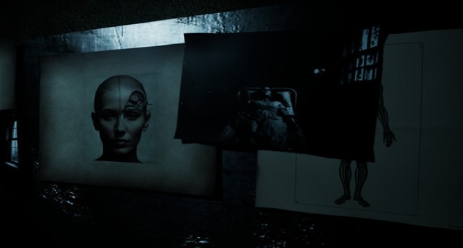 Forest Asylum pc
