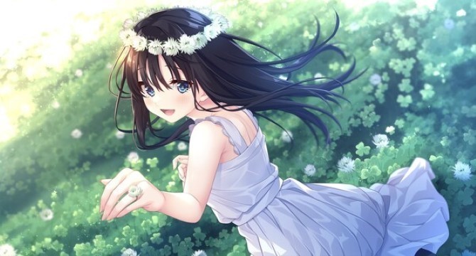 Sickly Days and Summer Traces pc