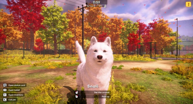 Animal Shelter 2 pc