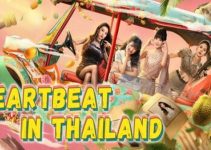 Heartbeat in Thailand Free Download Heartbeat in Thailand Free Download