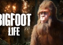 Bigfoot Life Free Download (v1.0.0) Bigfoot Life Free Download (v1.0.0)