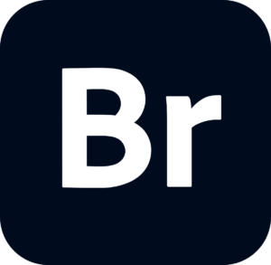 Artista Pirata Adobe Bridge 2025 Icon