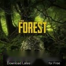 Descarga gratuita del bosque (1)