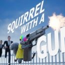 Descarga gratuita de Ardilla con pistola Descarga gratuita de Ardilla con pistola (1)