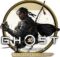 Ghost of Tsushima Director’s Cut Icon