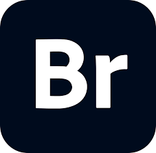 Adobe Bridge 2025 Full Portable