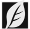 SkinFiner Full Español