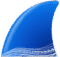 Wireshark Full Mega