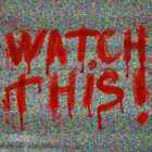 Watch This Free Download