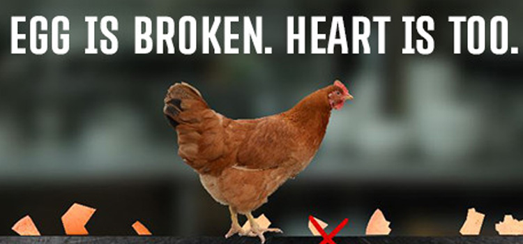 Egg Is Broken Heart Is Too Free Download FULL PC Game