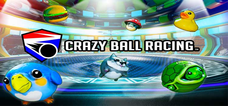 Crazy Ball Racing Free Download FULL Version PC Game