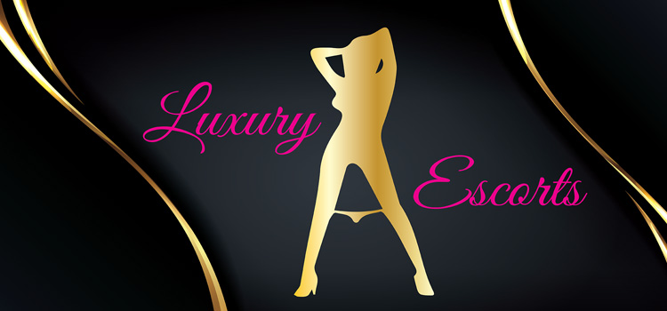Luxury Escorts Free Download Full Version Crack PC Game