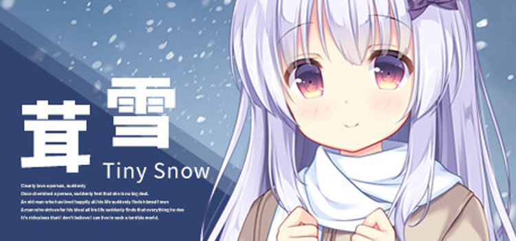 Tiny Snow Free Download FULL Version PC Game