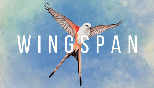 Wingspan Free Download Full Version Crack PC Game